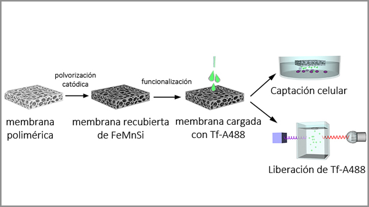 nanocapas biodegradables para micro-robots