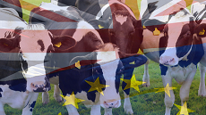 Brexit Animales