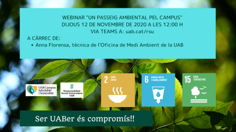 Cartell del Webinar 