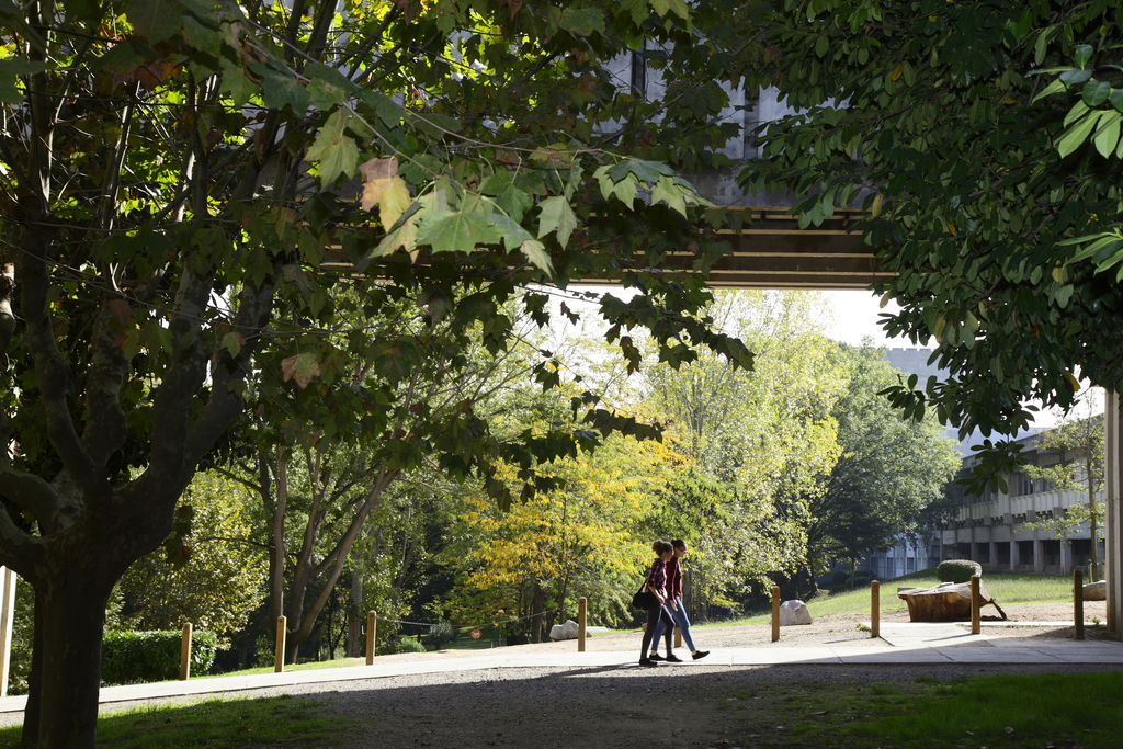 Persones caminant pel campus de la UAB