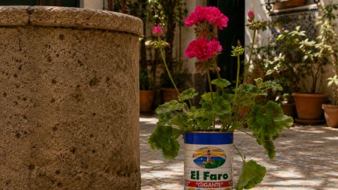 imatge d'un jardí amb geranis vermells i un pou