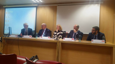 Professorat en l'ICAB