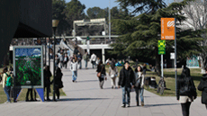 Acto de entrega de las becas de 