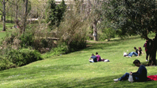 Estudiants