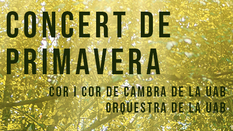 Imatge Concert de Primavera 2021