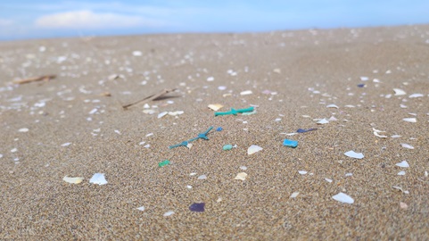 MICROPLASTICOS EN EL DELTA DEL EBRO ICTA_UAB