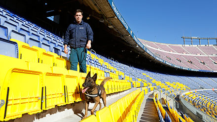 Postgrau Unitats Canines Treball