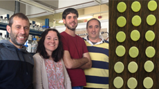 Diseñan un biosensor microbiano de papel para evaluar la toxicidad del agua