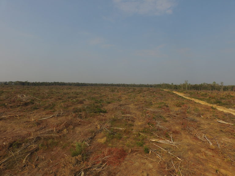 serradora Cambodja