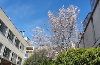 Facultat de Traducció i Interpretació