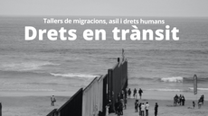 Cicle de tallers