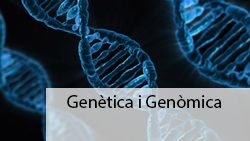 Genetics