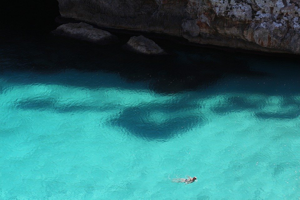 El cambio climático antropogénico ya afecta a las comunidades de plancton marino del Mar Mediterráne