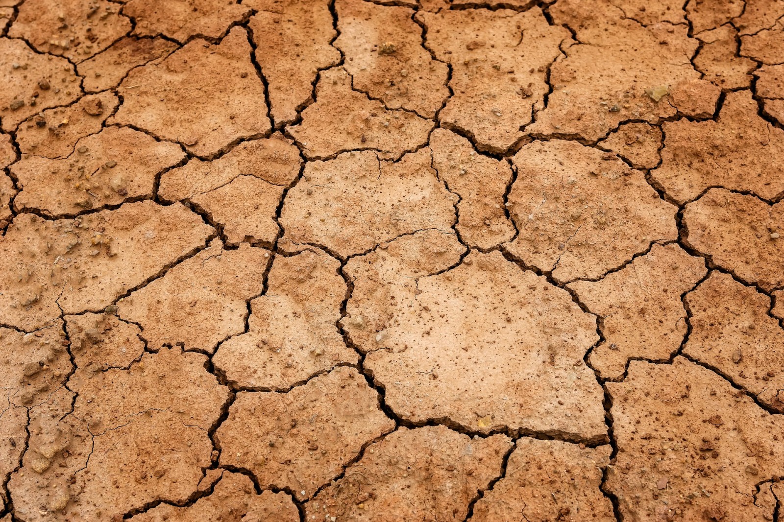 Els mesos record de pluja i de sequera van augmentar en les regions de tot el mon el canvi climatic