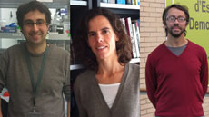 Investigadors premiats amb Starting Grants 2014