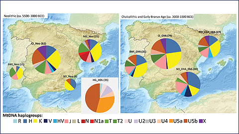 Barreja genètica intensa al Neolític a la Península Ibèrica
