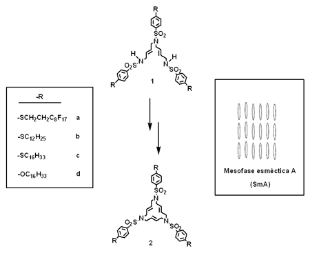 Esquema 1. Noves molècules sintetitzades.