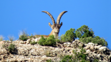 Doctorat en Biodiversitat foto3