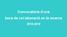 Beca ICPS