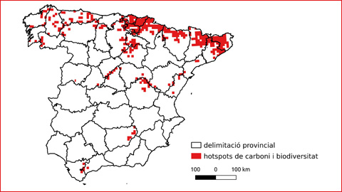 Els boscos que emmagatzemen més carboni també tenen més biodiversitat
