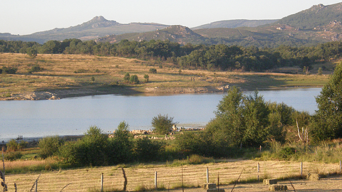 La renaturalització de les terres abandonades n’afavoreix la biodiversitat