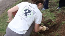 Voluntària en la plantada d'arbres