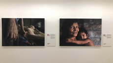 Imatge de l'exposició