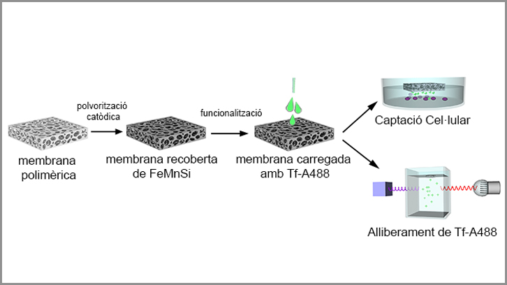 nanocapas biodegradables para micro-robots