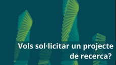 Projecte Recerca MCYT