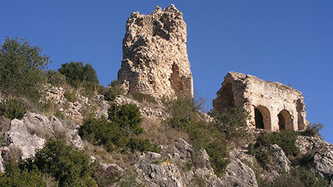 Castellví de la Marca