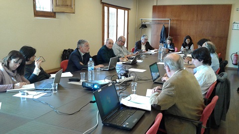 Ple Consell Social abril 2017