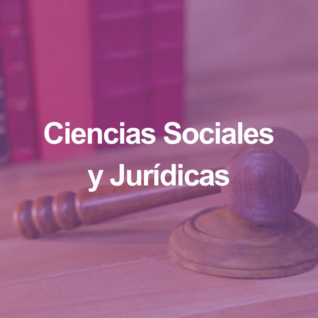 Imatge baner Oferta de Ciencies Socials International Tracks