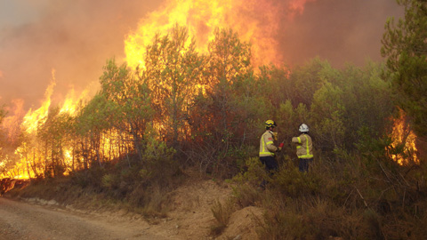Recerca incendis ICTA