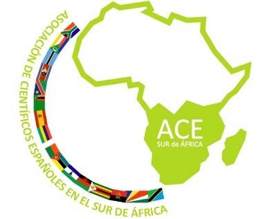 Becas ACE 2022