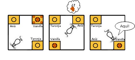 Cicloserina Memòria