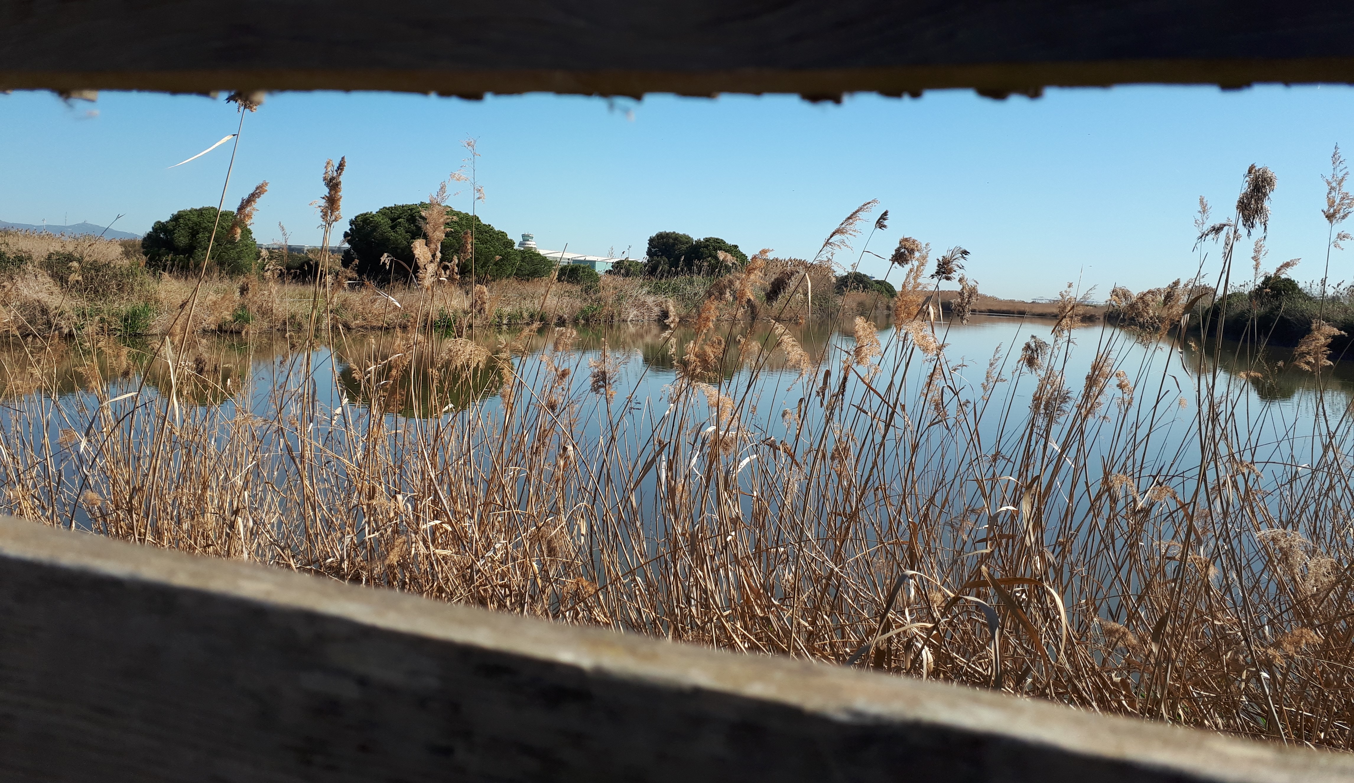 Delta del Llobregat ICTA-UAB