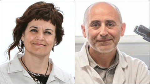 Gemma Puigvert y Joaquim Segalés