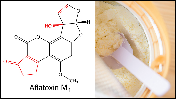 aflatoxinam1 