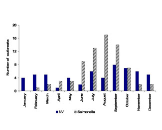 Els norovirus no presentaren un patró estacional clar