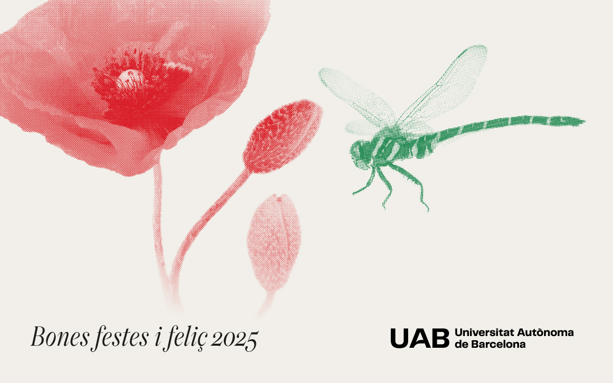 Bones festes i feliç 2025