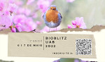 Primer Bioblitz al Campus UAB