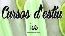 Cursos d'estiu