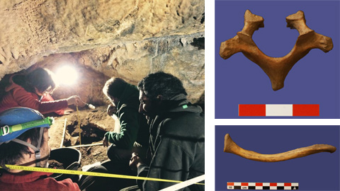 Troben les restes humanes més antigues del Pirineu Occidental