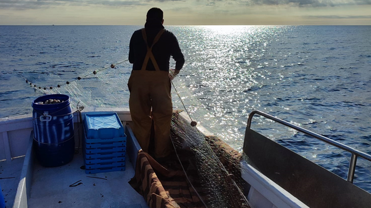 Pescador en una barca en mar abierto de espaldas cogiendo una red de pesca