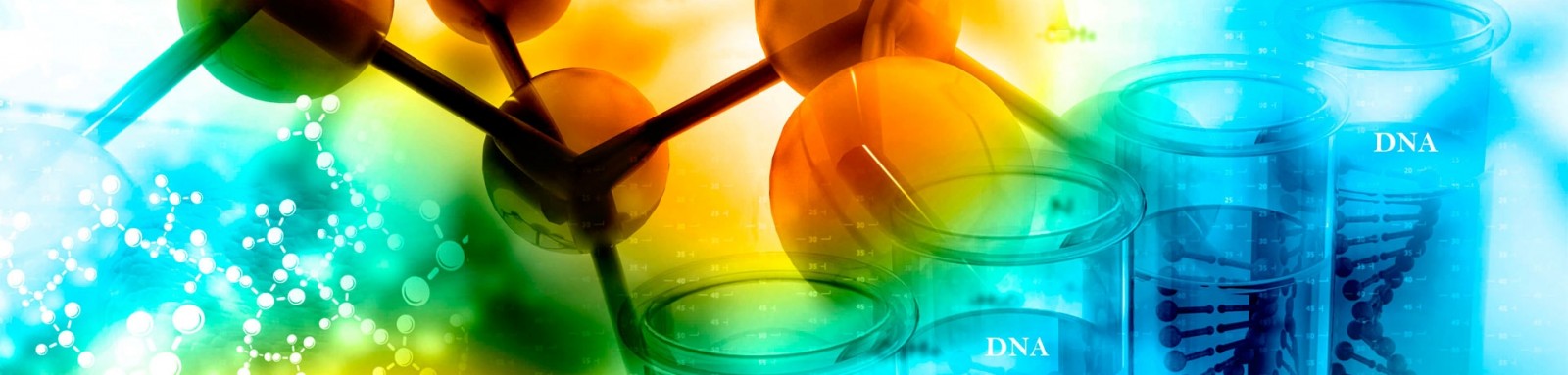 LrsquoICTA-UAB participa a la trobada 100xCiencia.2 a Alacant