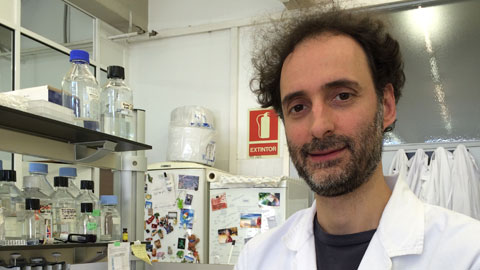 Carlos Saura, investigador del INc