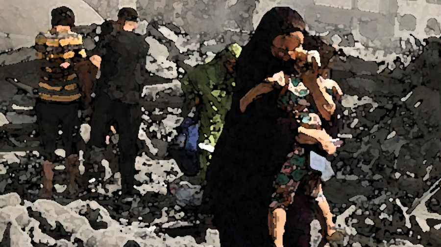 IMGInformePalestinaDona