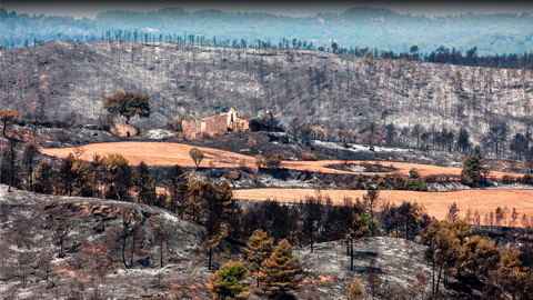 Crean un sistema experto para ayudar a dilucidar la autoría de incendios forestales
