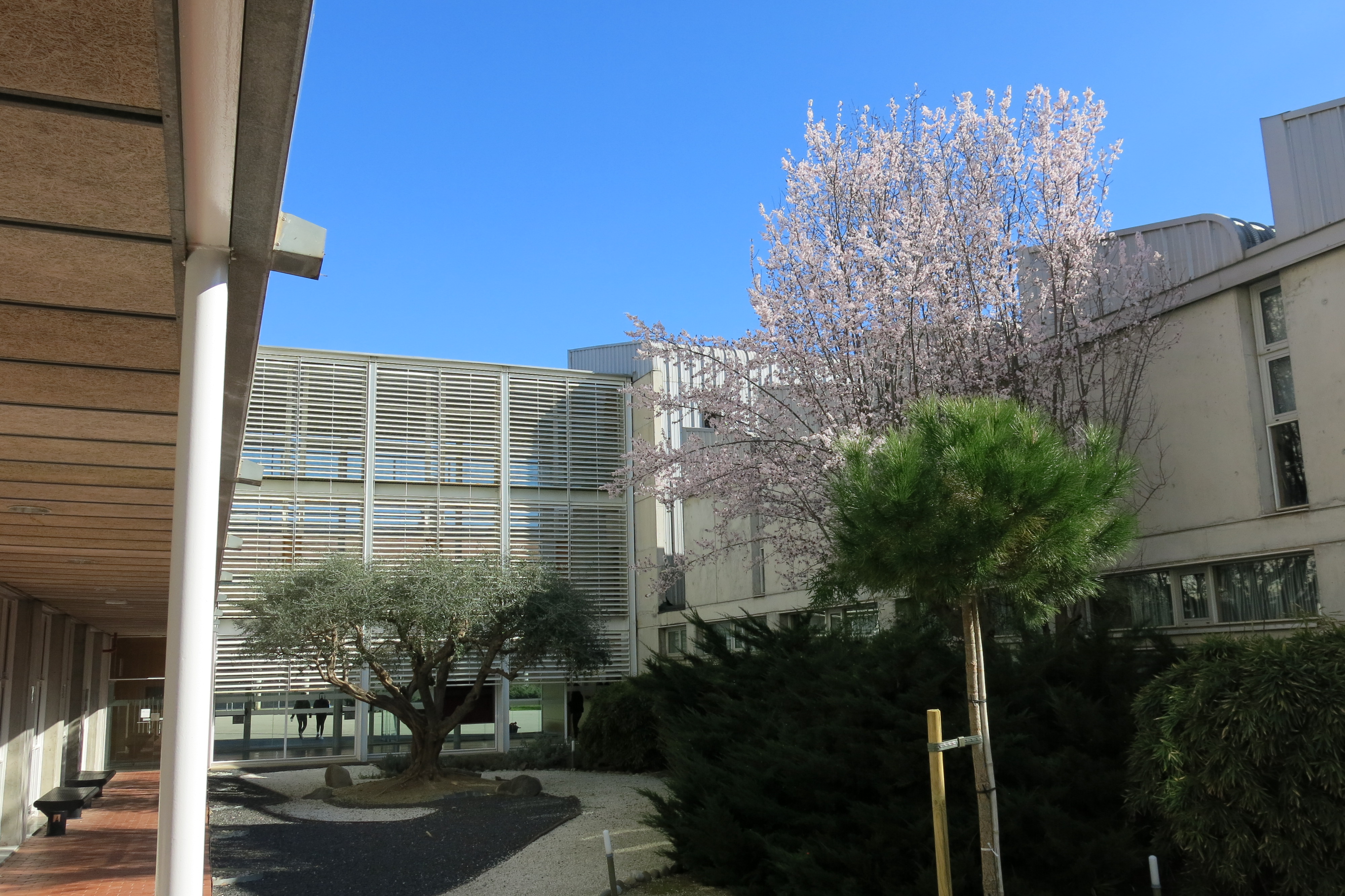 Jardín de la FTI