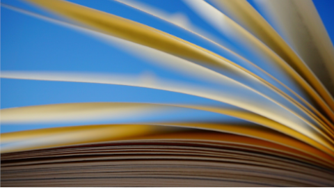 Imatge de la notícia Jornades Argó per a professorat de secundària